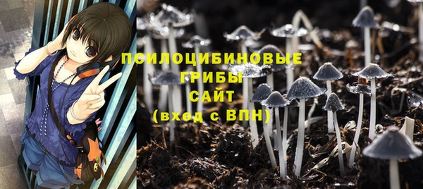 эйфоретик Данков