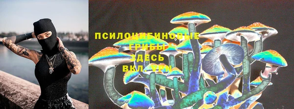 ALPHA PVP Беломорск