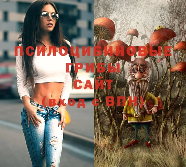 гидра Белоозёрский